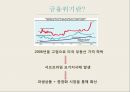 글로벌 금융위기위안화 기축통화금융위기란 3페이지