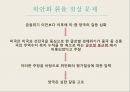 글로벌 금융위기위안화 기축통화금융위기란 9페이지