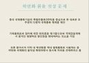 글로벌 금융위기위안화 기축통화금융위기란 11페이지