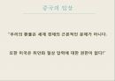 글로벌 금융위기위안화 기축통화금융위기란 13페이지
