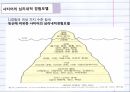 경험적 가족치료사티어 심리심리내적 경험모델변화의 과정치료자의 역할 9페이지