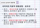 경험적 가족치료사티어 심리심리내적 경험모델변화의 과정치료자의 역할 14페이지