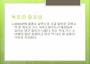 독도에 대하여독도의 역사독도의 중요성독도의 지형과 생태독도 생태계의 특징 8페이지