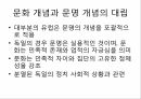문화의 개념매너의 역사문명 개념의 사회 정치적 영향문명개념의 사회적 기원 3페이지