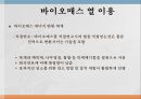 바이오매스 열 이용 2페이지