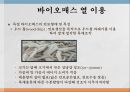 바이오매스 열 이용 3페이지