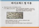 바이오매스 열 이용 5페이지