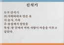 민속 박물관구석기조선신석기청동기고구려 4페이지
