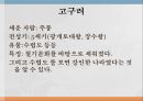 민속 박물관구석기조선신석기청동기고구려 6페이지