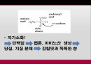 발효학젓갈젓갈의 정의대표적인 종류식해새우젓멸치젓젓갈의 역사 4페이지
