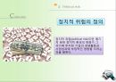 북 미사일 발사북한의 미사일 개발 10페이지
