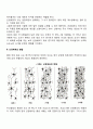 영아의 신경계 발달(신경세포 신경체계의 발달) 2페이지