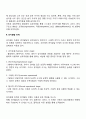 인간발달이론 10페이지
