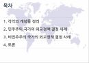 민주주의외교정책비민주주의 국가외교정책 결정 2페이지