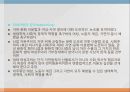 사회적 생태 여성주의오트너이네스트라 킹카렌 워렌 3페이지
