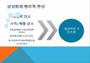 삼성생명 기업분석삼성생명 경영전략삼성생명 브랜드마케팅서비스마케팅글로벌경영사례분석 5페이지