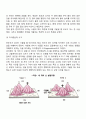 Piaget의 인지발달이론에서 감각운동기 전조작기 구체적 조작기의 특징에 대해 서술하고 인지발달의 중요성에 대해 논하시오 9페이지