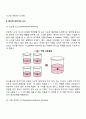 Piaget의 인지발달이론에서 감각운동기 전조작기 구체적 조작기의 특징에 대해 서술하고 인지발달의 중요성에 대해 논하시오 15페이지