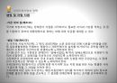 사회복지법제론장애인복지법장애인의 권리와 의무 26페이지