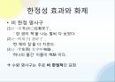 문법원리한정성 효과어순의 변화화제 구문구문의 비교의미상의 선택제약의합법문법화란 9페이지