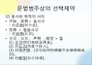 문법원리한정성 효과어순의 변화화제 구문구문의 비교의미상의 선택제약의합법문법화란 28페이지