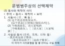 문법원리한정성 효과어순의 변화화제 구문구문의 비교의미상의 선택제약의합법문법화란 29페이지