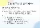 문법원리한정성 효과어순의 변화화제 구문구문의 비교의미상의 선택제약의합법문법화란 30페이지
