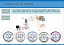 EDI통신시스템 및 인터넷무선주파수인식기술바코딩 및 스캐닝QR코드 13페이지