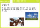 생활지도란생활지도의 영역학업문제의 조력사회성 성격발달진로지도학급경영(학급관리) 3페이지