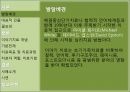 이야기치료이야기치료 개념치료자 역할치료기법 4페이지