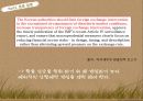 국제금융론한국 외환보유환율문제외환시장 9페이지