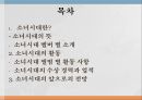 소녀시대마케팅소녀시대란소녀시대 한류마케팅 2페이지