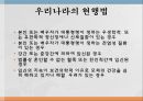 세계의 낙태 현황 관련법낙태의 부작용낙태 찬성 vs 반성선택권우선주의생명권우선주의낙태(落胎)란 3페이지