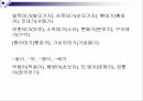 어휘적 특징명사 파생 접미사사동 또는 강세 접미사형용사 파생 접미사 3페이지