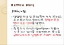 욕망이론언어학 구조주의소쉬르언어학이론자크라캉욕망이론구조주의 8페이지