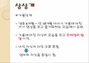 욕망이론언어학 구조주의소쉬르언어학이론자크라캉욕망이론구조주의 11페이지