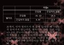 월마트란월마트 마케팅월마트 투자전략사례월마트 브랜드마케팅서비스마케팅글로벌경영사례분석 5페이지
