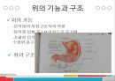 위장관질환위의 소화위의 기능과 구조위 운동위 배출공복수축구토위액 3페이지