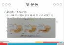 위장관질환위의 소화위의 기능과 구조위 운동위 배출공복수축구토위액 4페이지