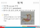 위장관질환위의 소화위의 기능과 구조위 운동위 배출공복수축구토위액 9페이지