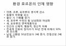 유해화학물질환경호르몬환경 호르몬의 인체 영향환경호르몬 피해 8페이지
