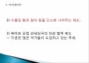 AEO 인증제도한국의 AEO도입AEO인증 한계점AEO인증의 현황 5페이지