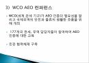AEO 인증제도한국의 AEO도입AEO인증 한계점AEO인증의 현황 38페이지