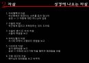 안락사와 자살안락사의 일반윤리안락사 사례안락사의 관점자살의 정의자살의 원인대한민국의 자살률 29페이지