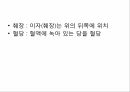 인슐린과 당뇨병인슐린이란인슐린 부작용인슐린의 종류 6페이지
