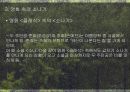 작가 황순원 의 이력작가 황순원 의 작품 성향소나기 의 구성영화 속의 소나기 10페이지