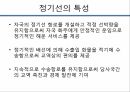 정기선 해운업정기선의 정의한진해운과 현대상선정기선의 특성정기선과 비정기선한진해운 4페이지