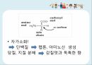 젓갈의 세계화우리나라 젓갈외국 젓갈우리나라와 외국 비교세계화 방안젓갈의 정의젓갈의 역사 5페이지