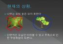 조선시대 신분제조선시대의 4신분 38페이지