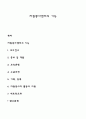 자원봉사센터의 기능 1페이지